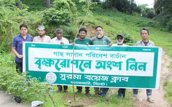 সুরমা বয়েজ ক্লাবের উদ্যোগে বৃক্ষরোপণ