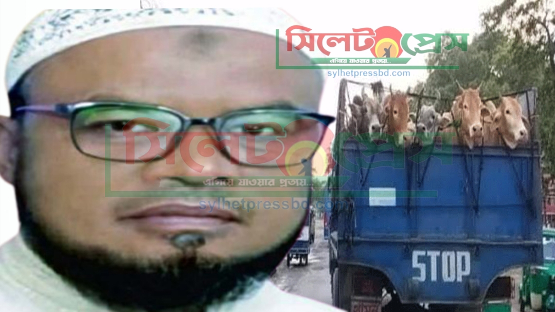 বুঙ্গারী গোলাম হোসেনের পক্ষে সাংবাদিক পরিচয়ে সংবাদ প্রকাশ না করার তদবির বুঙ্গারী গোলাম হোসেনের পক্ষে সাংবাদিক পরিচয়ে সংবাদ প্রকাশ না করার তদবির