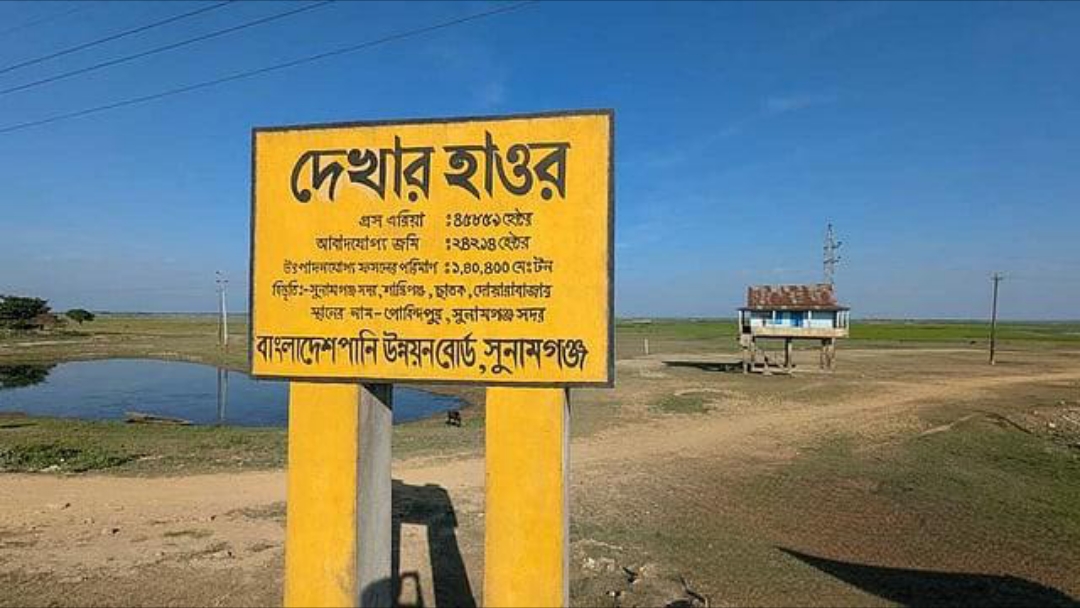 হাওরে ফসলডুবি: সরকারি সহায়তার তালিকায় ‘অনিয়ম’, বাদ পড়েছেন প্রকৃতরা হাওরে ফসলডুবি: সরকারি সহায়তার তালিকায় ‘অনিয়ম’, বাদ পড়েছেন প্রকৃতরা
