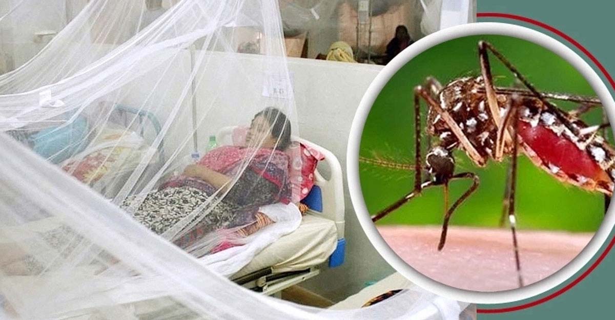 ডেঙ্গুতে একদিনে ৩ জনের মৃত্যু, হাসপাতালে ভর্তি ২৫১
