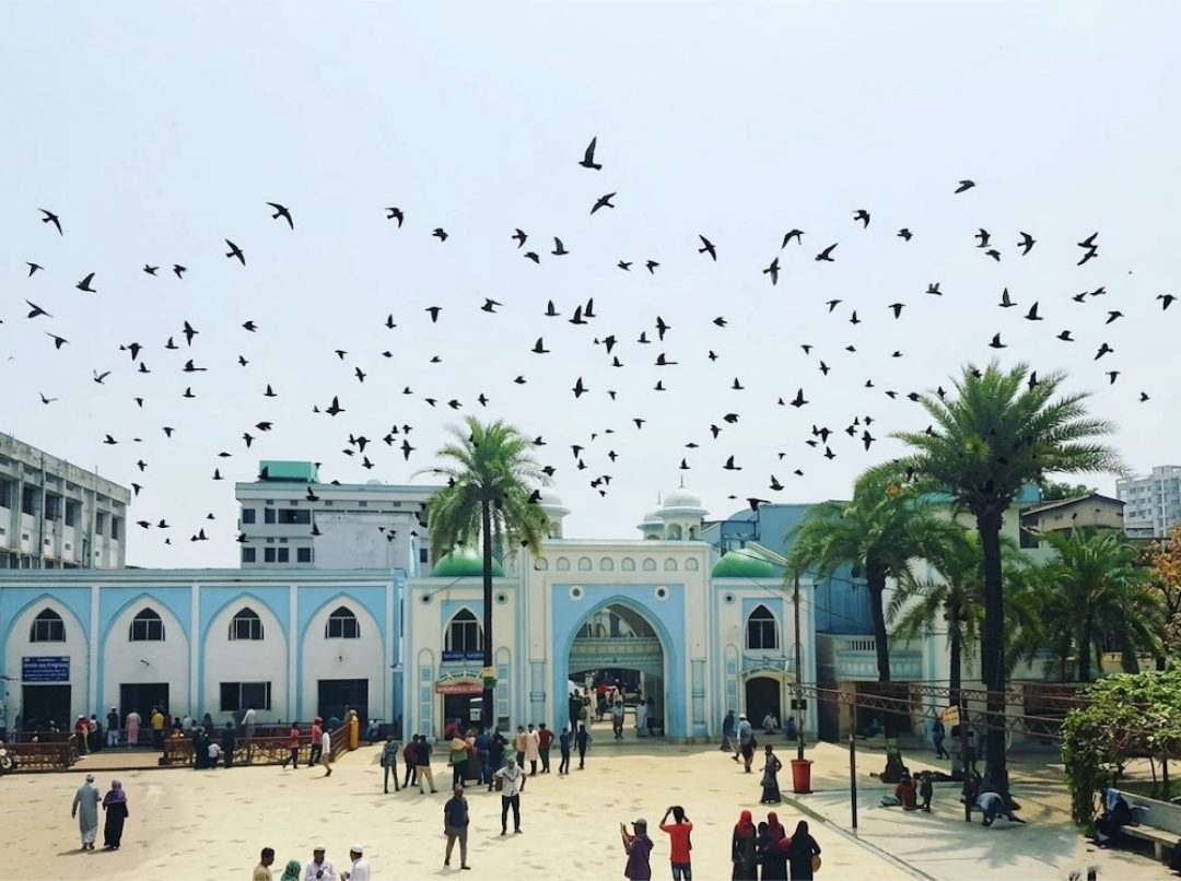 সত্যিই কি শাহজালালের (র.) বংশধর আছে, মাজার কাদের হাতে