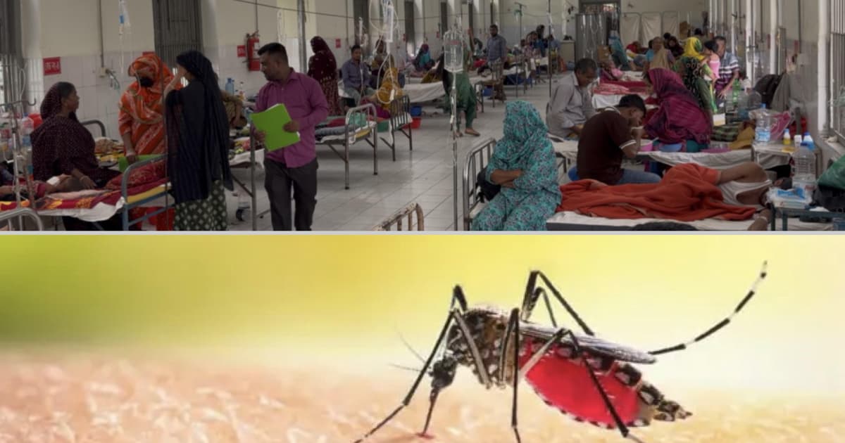 সিলেটে হামের মধ্যে চোখ রাঙাচ্ছে ডেঙ্গু