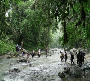 দক্ষিণ আমেরিকার জঙ্গল দিয়ে যুক্তরাষ্ট্রে মানব পাচারে বাংলাদেশি চক্র