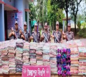 জকিগঞ্জে বিজিবির অভিযান, ভারতীয় শাড়ীর চালান জব্ধ