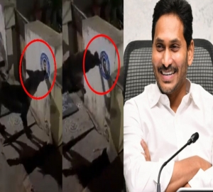 মুখ্যমন্ত্রীর পোস্টার ছেঁড়ায় কুকুরের বিরুদ্ধে থানায় অভিযোগ!