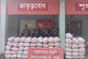 মেঘালয়ে পাচারকালে রসুনের চালান জ ব্দ, বিজিবি টহল দলের ওপর চোরাকারবারিদের হা ম লা!