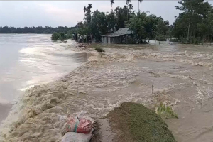 মনু নদীর বাঁধ ভেঙে ৩০ গ্রাম প্লাবিত, পানিবন্দি অর্ধলাখ মানুষ