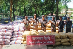 দুইদিনে বিজিবির অভিযানে আড়াই কোটি টাকার চোরাই মালামাল আটক