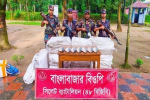 ভারতে পাচারকালে সুনামগঞ্জে ২৭৫ কেজি ইলিশ জব্দ