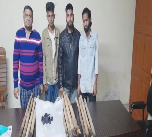 সিলেটে ছাত্রদল সম্পাদক রাব্বিসহ গ্রেপ্তার ৪, ককটেল উদ্ধার