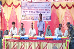 হরিপুরে জিংক ব্রি ধান-১০২ শীর্ষক কৃষক মাঠ দিবস অনুষ্ঠিত
