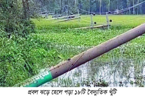 হবিগঞ্জে কালবৈশাখীর তাণ্ডবে লণ্ডভণ্ড বৈদ্যুতিক খুঁটি ও গাছপালা : জেলাজুড়ে ক্ষয়-ক্ষতি