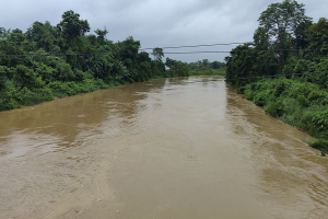 মৌলভীবাজারে ২৪ ঘণ্টায় ৯১ মিমি বৃষ্টিপাত, বন্যার শঙ্কা