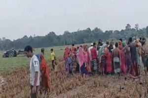 ঠাকুরগাঁওয়ে গরু আনতে গিয়ে বজ্রপাতে গৃহবধূর মৃত্যু