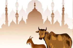পবিত্র ঈদুল আজহা ২৭ নাকি ২৮ মে