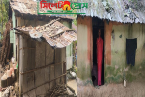 অবহেলিতই রয়ে গেলেন চায়ের মূল কারিগরেরা