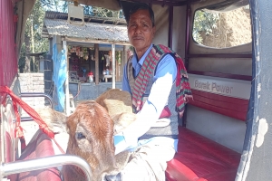 রাণীশংকৈলের-কাতিহার হাটে অতিরিক্ত টোল আদায় চলছেই। কোন পদক্ষেপ নেই