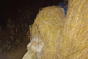 ঠাকুরগাঁওয়ে খড়ের পালা থেকে পড়ে গিয়ে স্কুল শিক্ষকের মৃত্যু