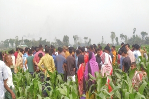 ঠাকুরগাঁওয়ে ভুট্টাক্ষেত থেকে নৈশ প্রহরীর হাত-পা বাঁধা লাশ উদ্ধার, থানায় মামলা