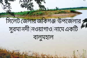 সুরমায় বালু উত্তোলন বিলীন হচ্ছে দুই উপজেলার বিস্তীর্ণ জনপদ