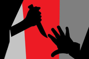 বড়লেখায় দুই ভাই খুন, একজন আহত
