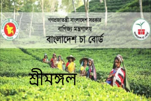 শ্রীমঙ্গলে ৯ ক্যাটাগরিতে ৪৮ জনকে চাকরি দেবে বাংলাদেশ চা বোর্ড
