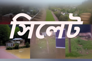 সিলেটে খাস জমি ও চা বাগানের পাহাড় কেটে অবৈধ প্লট তৈরি বসতি নির্মান!