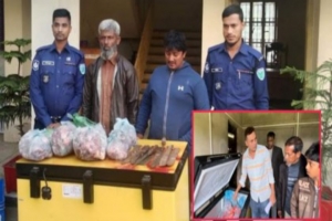 বাড়িতে ‘কসাই খানা’ বানিয়ে চোরাই গরুর মাংস বিক্রি!