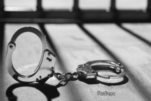 ‘আ সা মি বাণিজ্য’ চলছেই, মা ম লা ছাড়াও গ্রে প্তা র