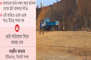 সিলেটের চা বাগানে ভূমিখেকো চক্রের চোখ