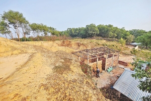 সিলেটে টিলা কাঠছে যারা,পরিবেশ নির্বিকার !
