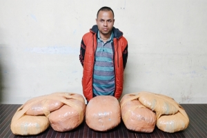 সিলেটে ১৫ কেজি গাঁজাসহ মাদক কারবারি গ্রেফতার