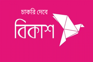 কম্পিউটার অপারেটর পদে বিকাশে চাকরির সুযোগ