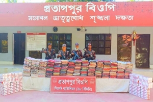 সিলেট সীমান্তে বিপুল পরিমাণ ভারতীয় পণ্য জব্দ