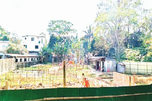 সিলেটে তারাপুর চা বাগানে ভূমি দখলের মহোৎসব