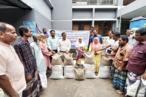 ঠাকুরগাঁওয়ে বিনামূল্যে বিভিন্ন বীজ ও সার বিতরণ